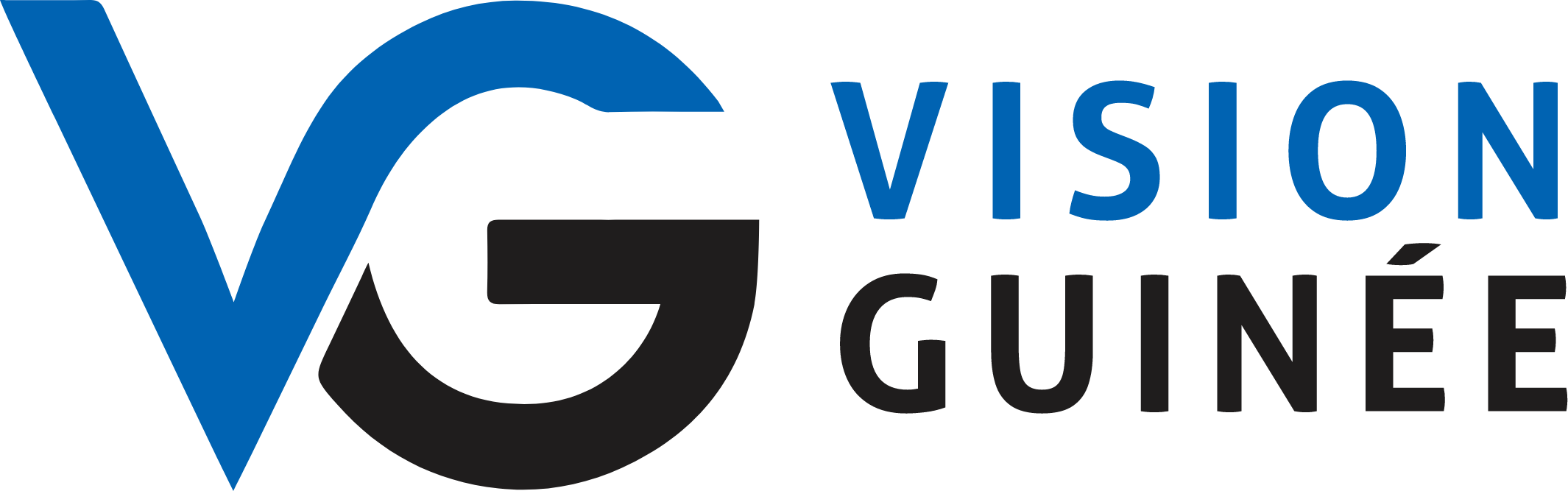 Vision Guinée